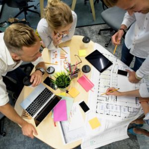 Programme and Project Sponsorship (PPS)
